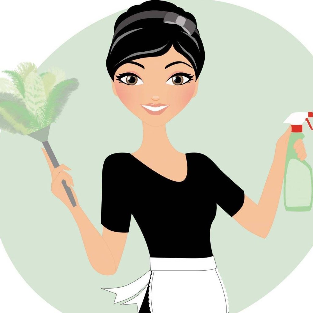 Broom-Hilda's Cleaning Services